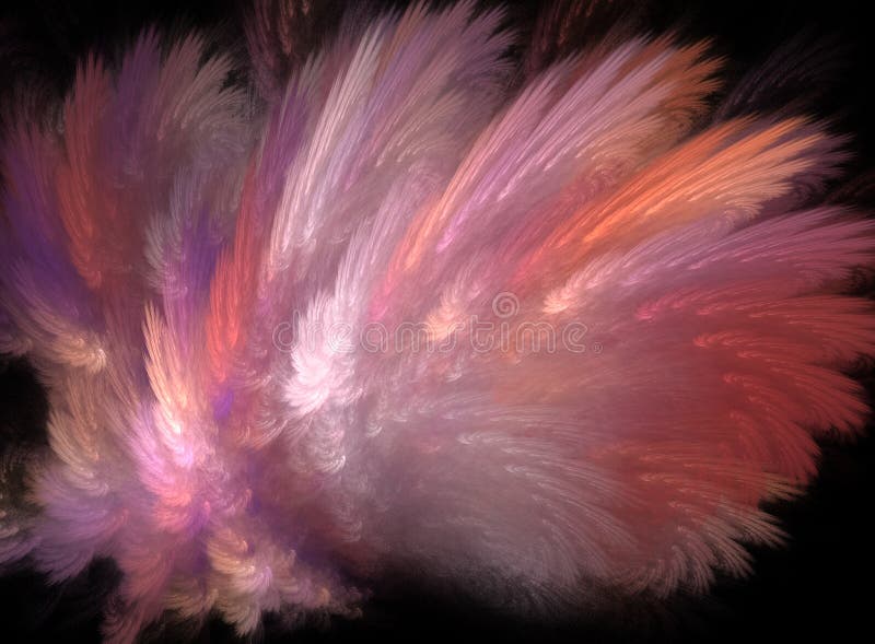 Fractal abstraction, a Pink feather explosion on black background vector illustration