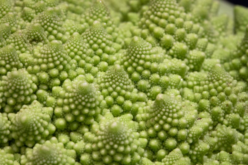Fractais num Brócolis Romanesco fotografia de stock royalty free