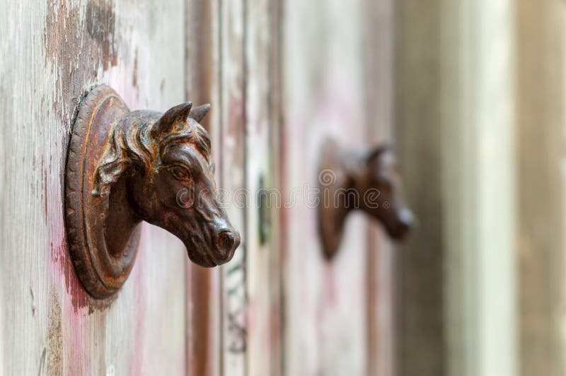 Fragment of brown old wooden door with metal door handles horse head shaped. Florence, Italy royalty free stock images Fragment of brown old wooden door with metal door handles horse head shaped. Florence, Italy royalty free stock images