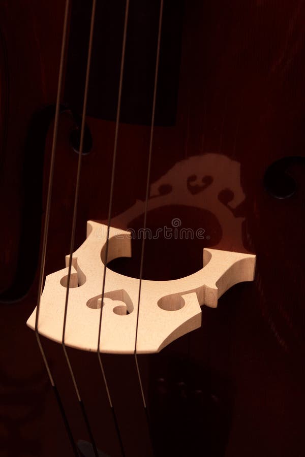 Fragment of a contrabass