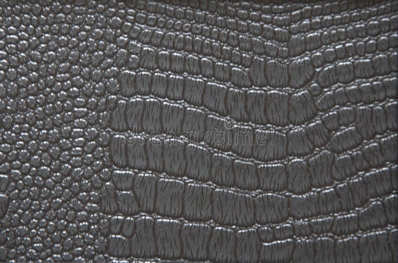 A fragment of a dark reptile genuine leather. Close up shot