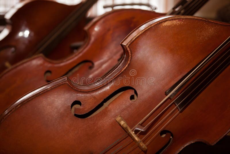 Fragment Double Basses Stock Photos Free & RoyaltyFree Stock Photos