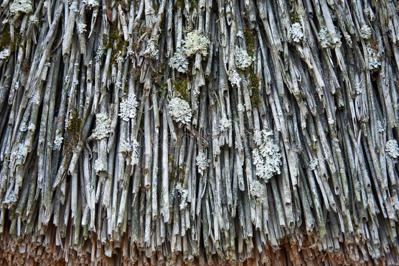 A fragment of the old thatched roof. Texture, background royalty free stock photo A fragment of the old thatched roof. Texture, background royalty free stock photo