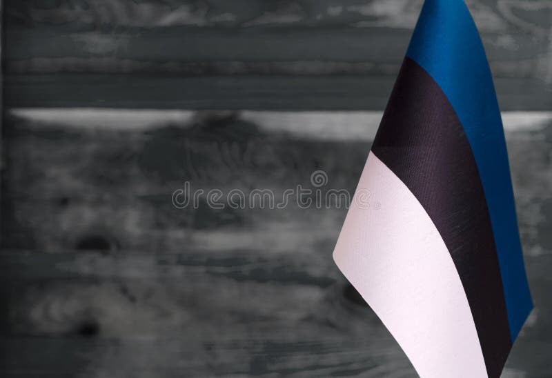 Fragment van de vlag van de Republiek Estland in de voorgrondvervaagde achtergrondkopruimte stock afbeelding Fragment van de vlag van de Republiek Estland in de voorgrondvervaagde achtergrondkopruimte stock afbeelding