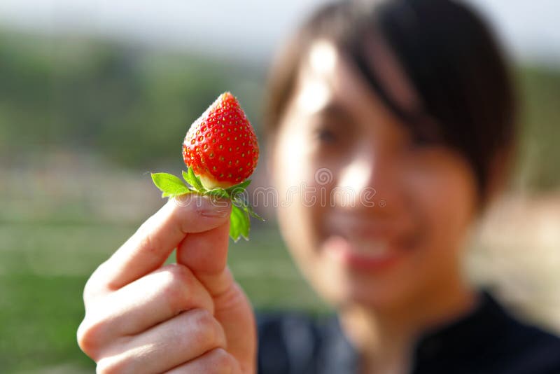 Fragola del selezionamento della ragazza immagine stock Fragola del selezionamento della ragazza immagine stock