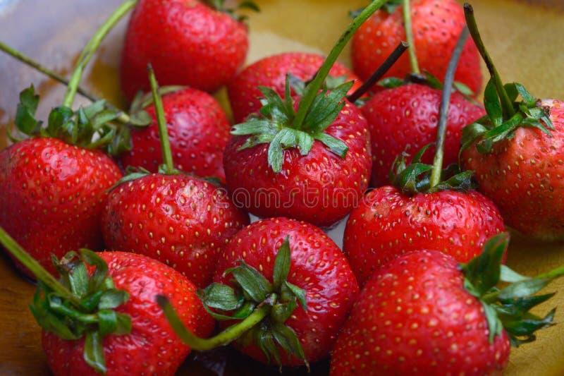 Fragola perfetta matura fresca fotografia stock libera da diritti Fragola perfetta matura fresca fotografia stock libera da diritti