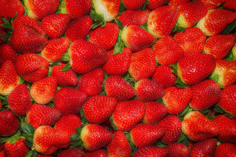 Fragola - struttura completa fotografia stock Fragola - struttura completa fotografia stock