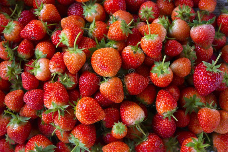 Fragola - struttura completa immagini stock libere da diritti Fragola - struttura completa immagini stock libere da diritti