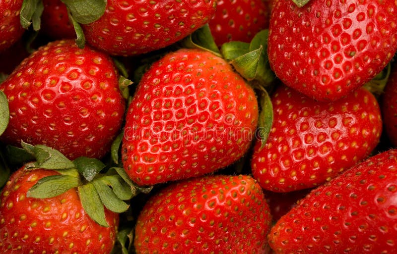 Fragole Fragole