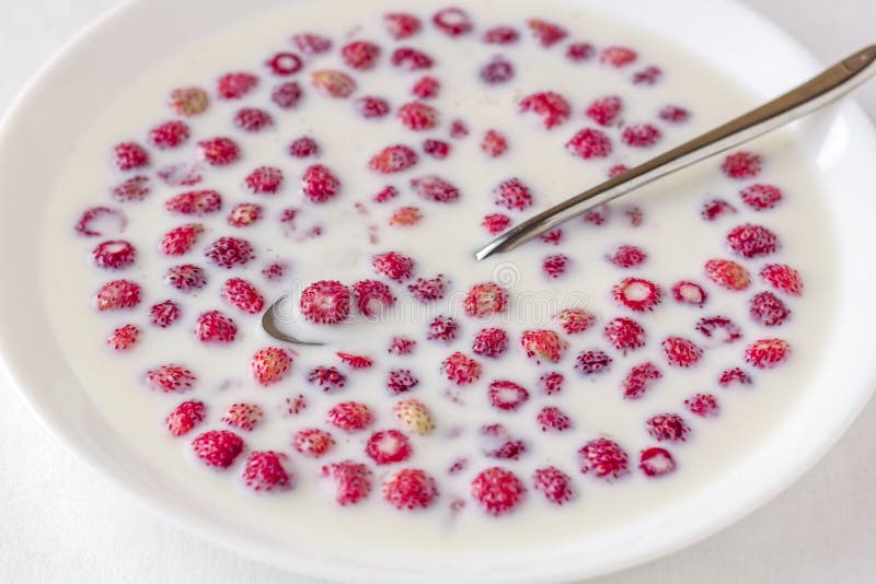 Fragole di bosco fresche con latte in una ciotola bianca su un fondo bianco Spuntino leggero di estate Concetto di vitam fresco fotografia stock Fragole di bosco fresche con latte in una ciotola bianca su un fondo bianco Spuntino leggero di estate Concetto di vitam fresco fotografia stock