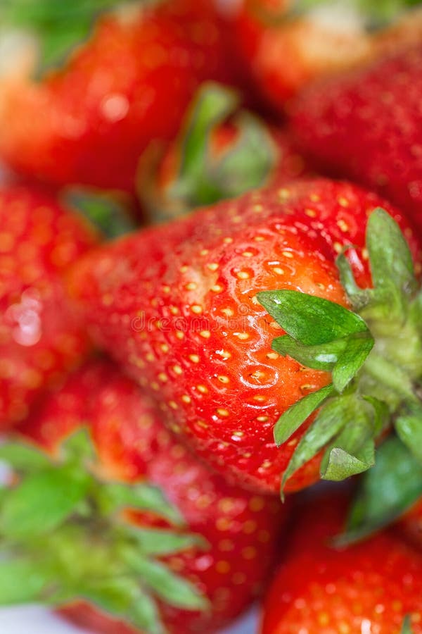Fragole maturate fresche in una ciotola bianca. immagine stock