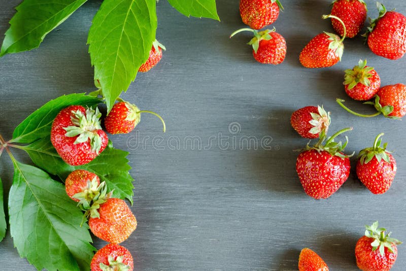 Fragole rosse mature fresche sulla tavola grigia Dieta, sana, vegano immagine stock libera da diritti Fragole rosse mature fresche sulla tavola grigia Dieta, sana, vegano immagine stock libera da diritti
