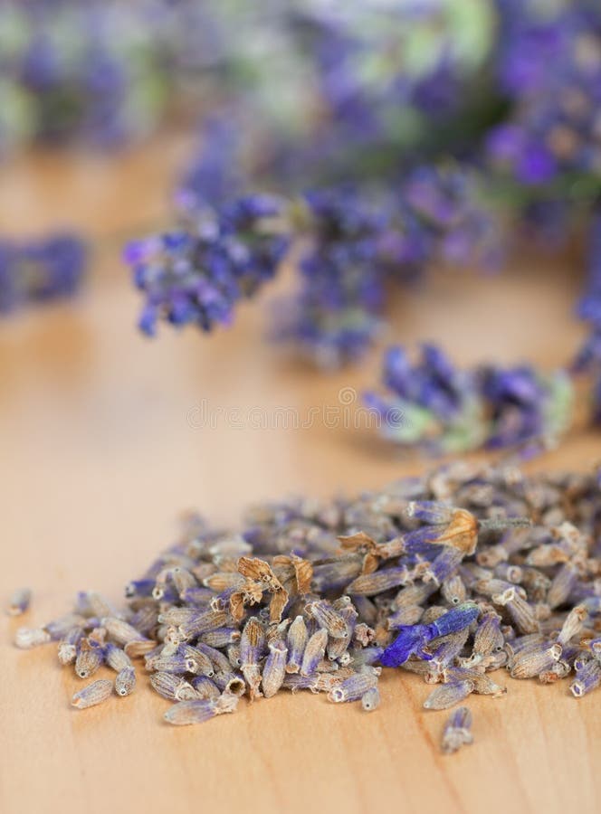 Vertical with short depth of field, featuring dried lavender blooms on a light wood surface with live lavender flowers in the background. Room for text above. Beautiful dried field flowers stock images, royalty-free photos and pictures