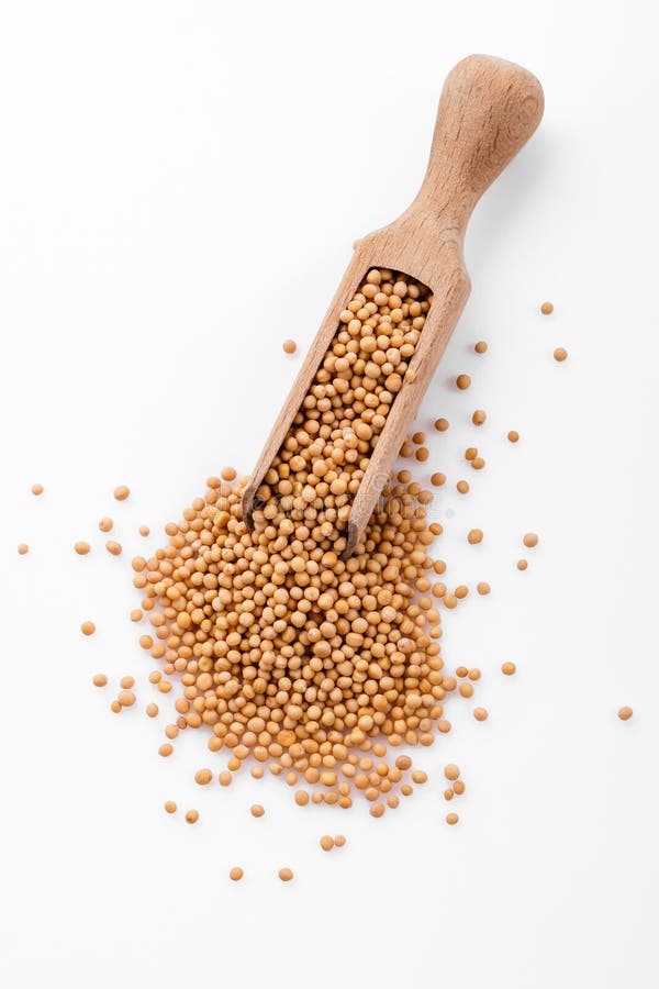 Fragrant Grains of Mustard on a White Background Stock Photo Image of