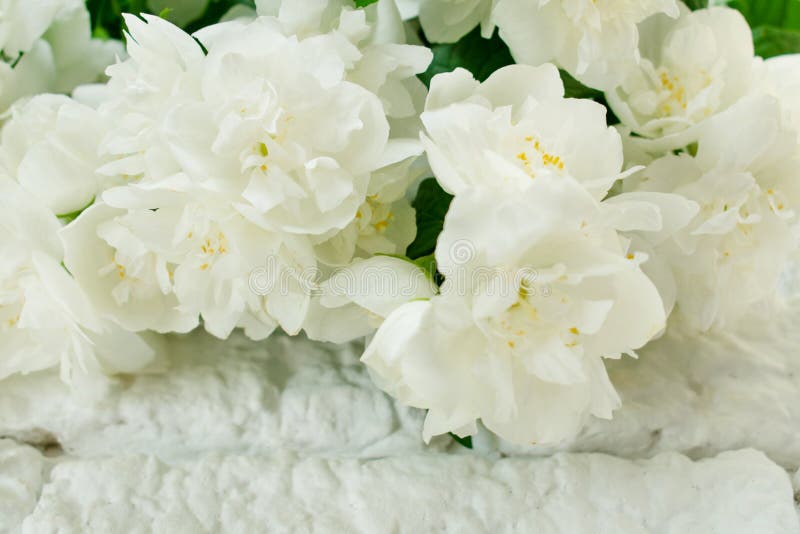 10,110 Jasmine Bouquet Photos Free & RoyaltyFree Stock Photos from