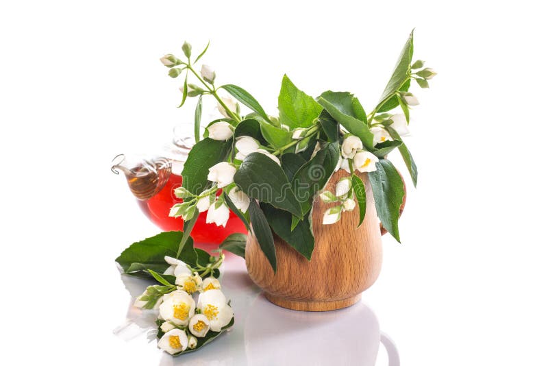 Fragrant jasmine tea stock image. Image of bunch, healthy 31335443