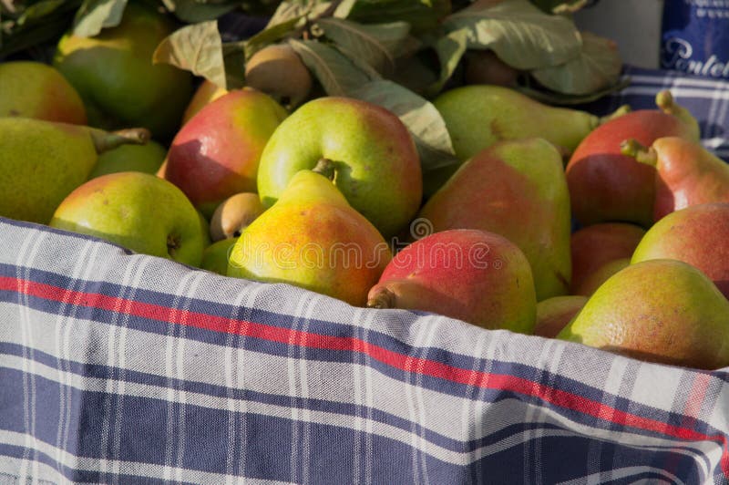 Fragrant ripe pears are harvested in the autumn on the market.