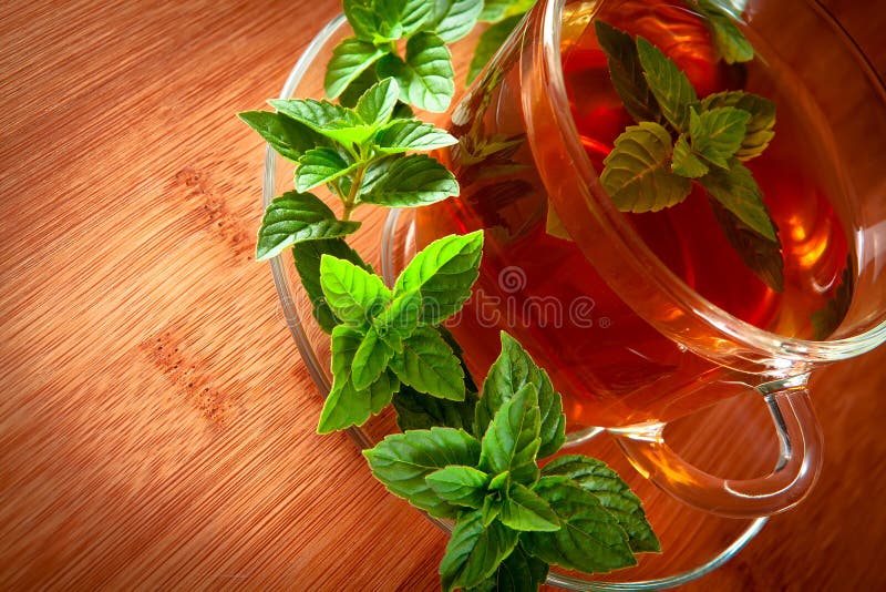 Fragrant Tea with Fresh Leaves of Green Tea Stock Photo Image of background, flavored 21830692