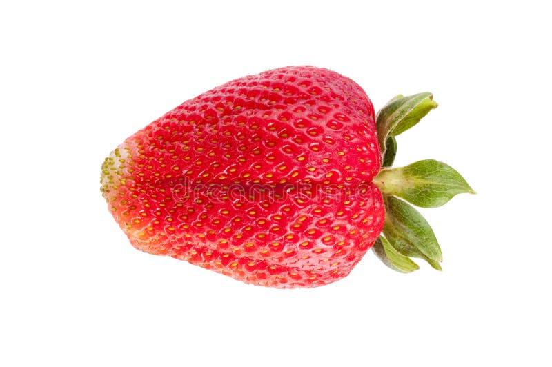 Isolation on a white background of a single fresh ripe strawberry. Isolation on a white background of a single fresh ripe strawberry