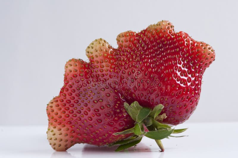 Fraise photographie stock libre de droits Fraise photographie stock libre de droits