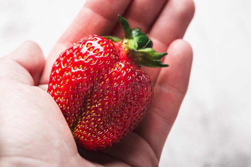 Fraise mûre fraîche dans une main photographie stock libre de droits Fraise mûre fraîche dans une main photographie stock libre de droits