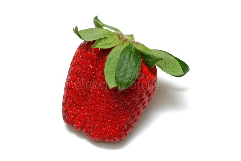 Fraise simple photographie stock Fraise simple photographie stock