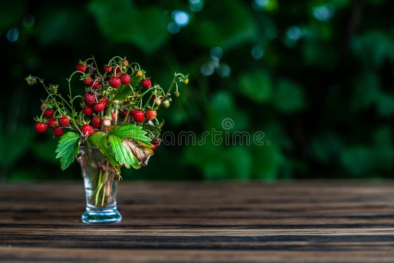 fraisier commun de bouquet dans des séjours transparents de verre à liqueur sur la table en bois brune avec les feuilles vertes s photos libres de droits fraisier commun de bouquet dans des séjours transparents de verre à liqueur sur la table en bois brune avec les feuilles vertes s photos libres de droits