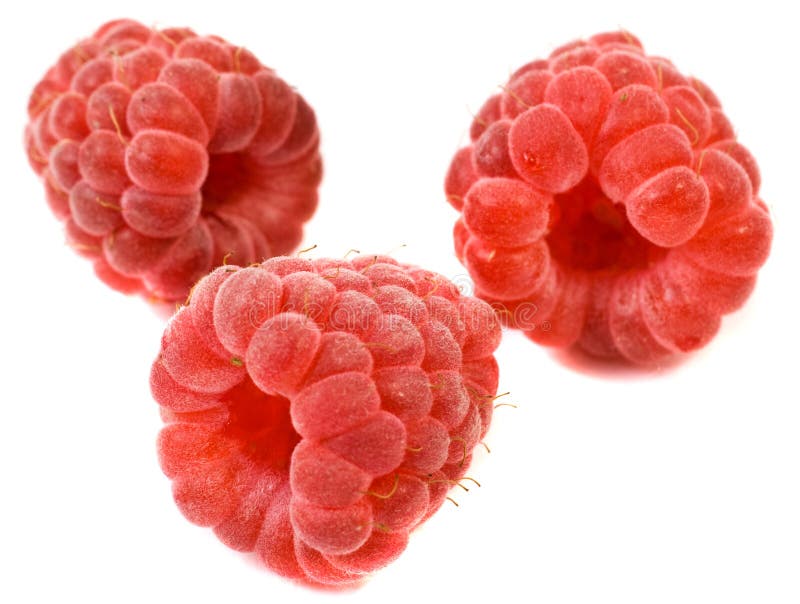 Une framboise photo stock. Image du rouge, framboise 11395654