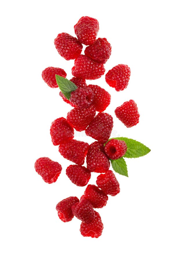 Framboises photographie stock Framboises photographie stock