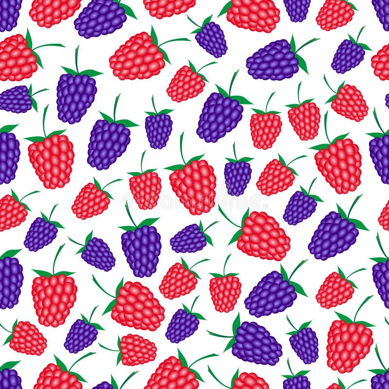 Frambozen en braambessen het naadloze patroon eps10 van de fruitzomer stock illustratie Frambozen en braambessen het naadloze patroon eps10 van de fruitzomer stock illustratie