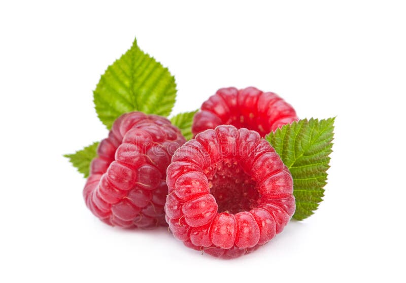 Frambozenfruit royalty-vrije stock afbeeldingen Frambozenfruit royalty-vrije stock afbeeldingen