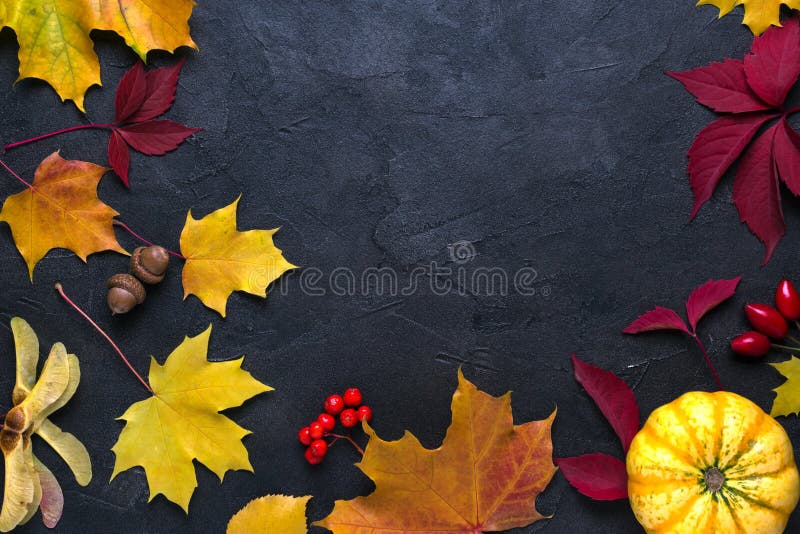 Frame with autumn maple leaves. Nature fall template for design, menu, postcard, banner, ticket, leaflet, poster. On dark backgr