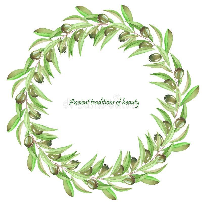 Frame border, wreath of the branches of green olives, painted in a watercolor on a white background, greeting card, decoration pos