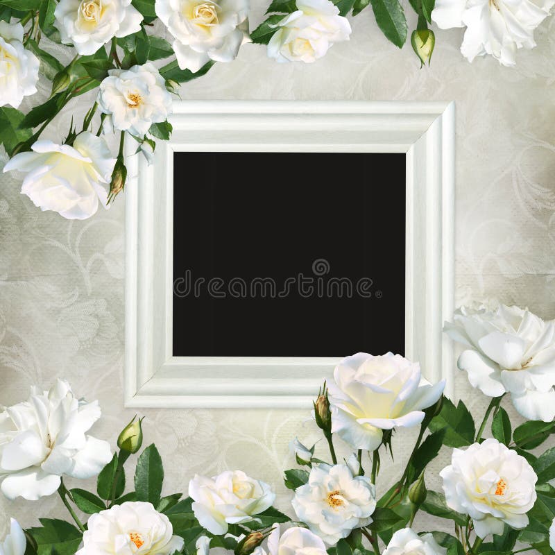 Frame and borders of white roses on a beautiful vintage background