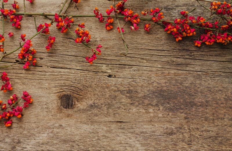 Frame of branches with red flowers on a wooden background