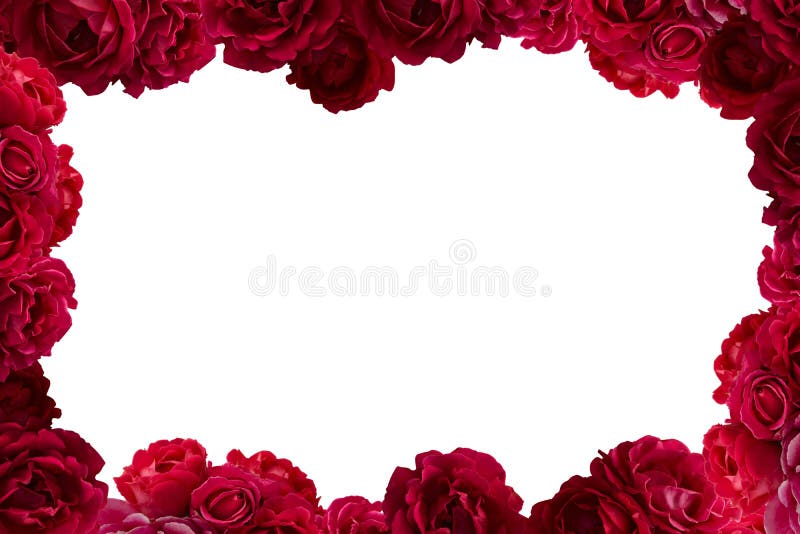 Frame with bush of red rose flowers background isolated