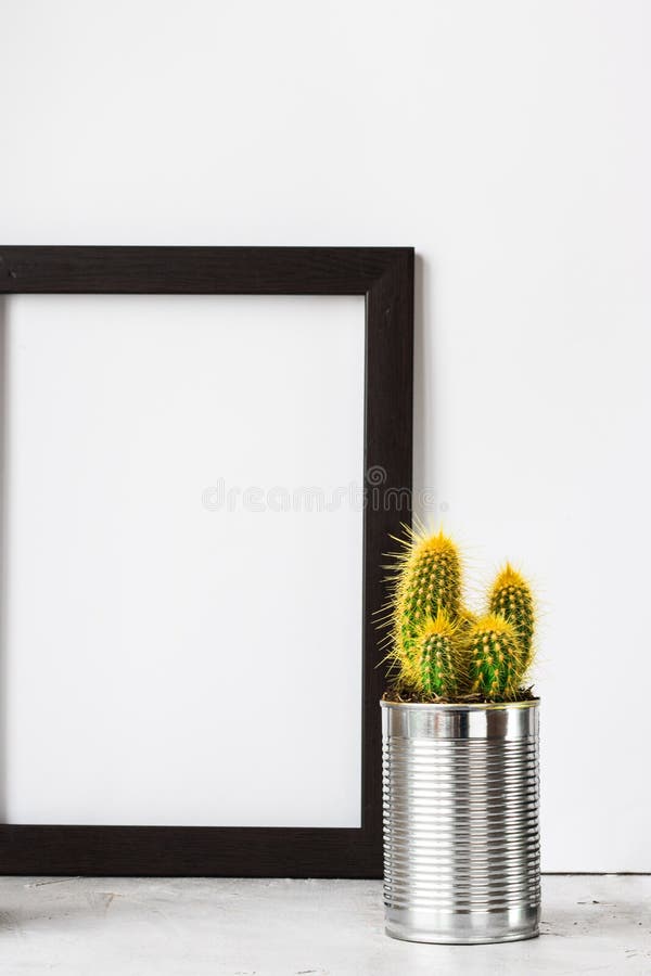 Frame with cactus in metal can on grey cement floor stock photography Frame with cactus in metal can on grey cement floor stock photography