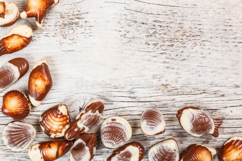 Chocolate seashell candies