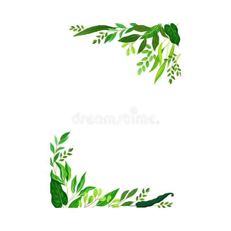 Frame Corners with Green Leaves or Foliage Vector Illustration Stock Vector  - Illustration of foliage, arrangement: 198342390