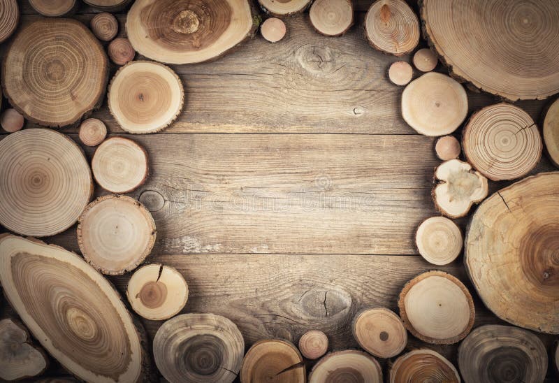Frame Cross section of tree trunk showing growth rings stock images Frame Cross section of tree trunk showing growth rings stock images
