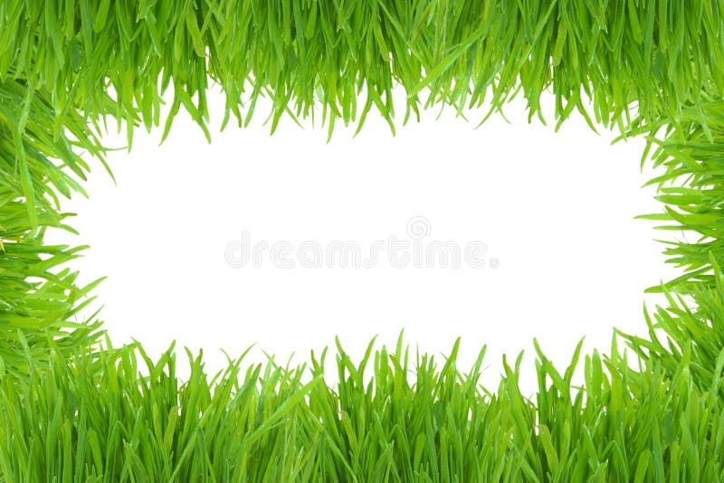 Frame da foto da grama verde isolado no branco imagem de stock royalty free Frame da foto da grama verde isolado no branco imagem de stock royalty free