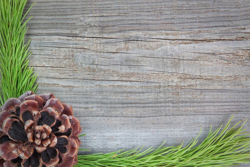 Moldura de Natal com ramos de árvores foto de stock royalty free