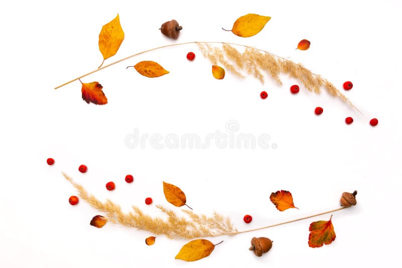 Frame of dried natural autumn grass, yellow leaves and red rowan berries on white background. royalty free stock image Frame of dried natural autumn grass, yellow leaves and red rowan berries on white background. royalty free stock image