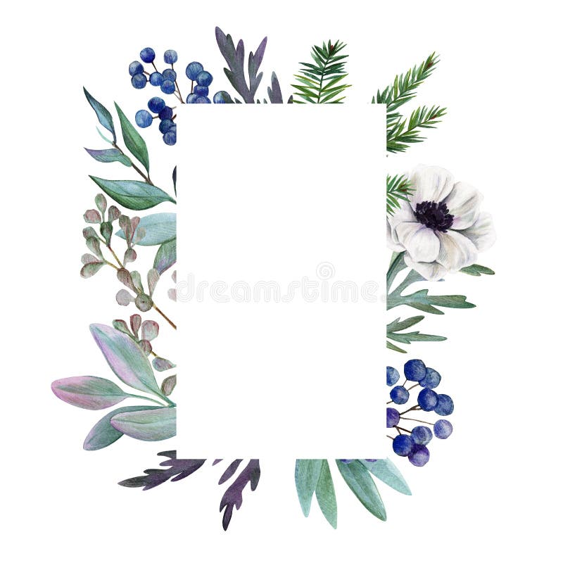 Frame floral Mão botânica da aquarela tirada ilustração stock