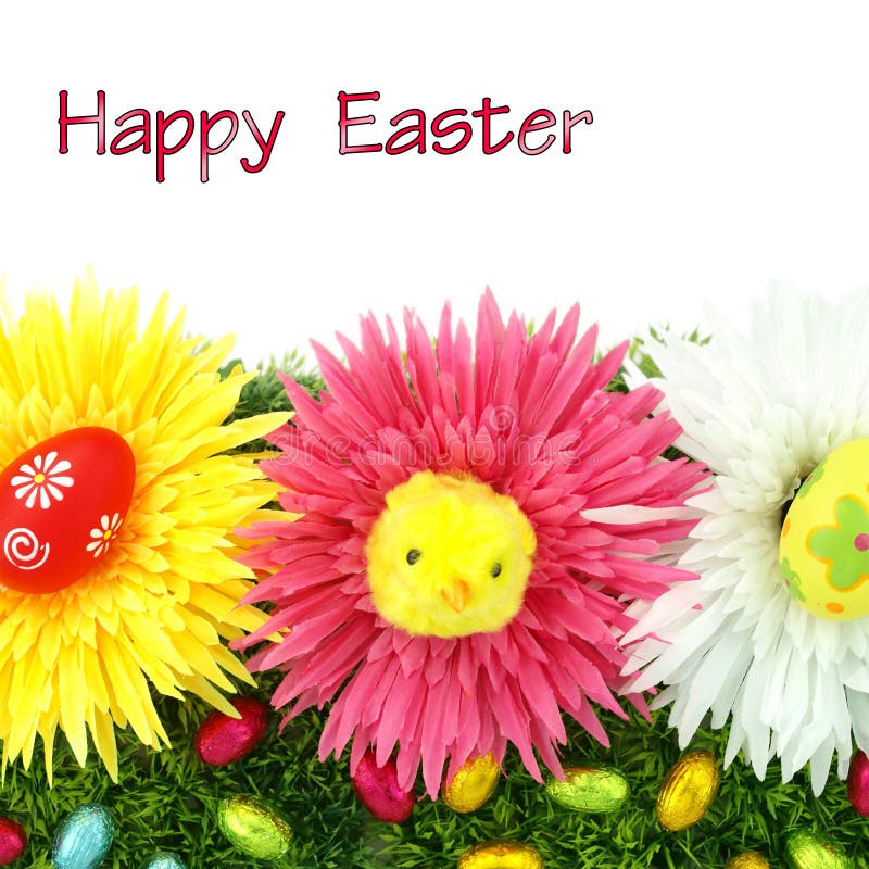 Fresh Spring Flowers with Birds Nest. Easter Stock Image Image of