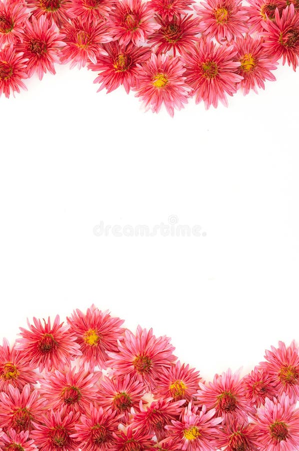 Frame of flowers stock image. Image of pattern, beautiful - 62748843