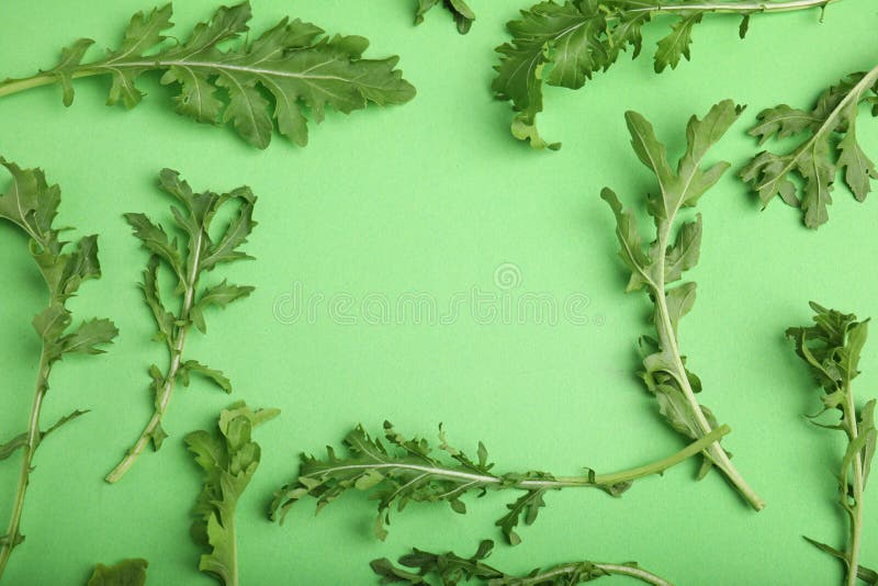 Frame of fresh arugula on green background, flat lay. Space for text stock photo