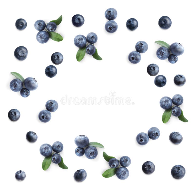 Frame of fresh blueberries on white background, top view royalty free stock images