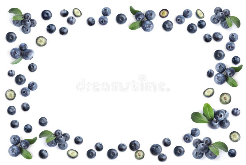 Frame of fresh blueberries on white background, top view stock images