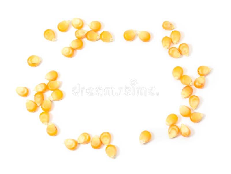 Frame of fresh corn kernels on white background, flat lay. Space for text stock photography